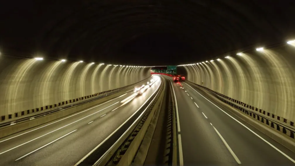 У Бостоні врятували собаку з жвавого тунелю під час години пік