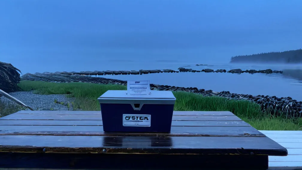 Грем Платнер: Кандидат у Сенат США, що Кидає Виклик Політичним Нормам