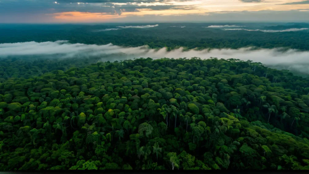 Кліматичні переговори ООН посилюються: Урядові міністри очолюють вирішальний етап на COP30