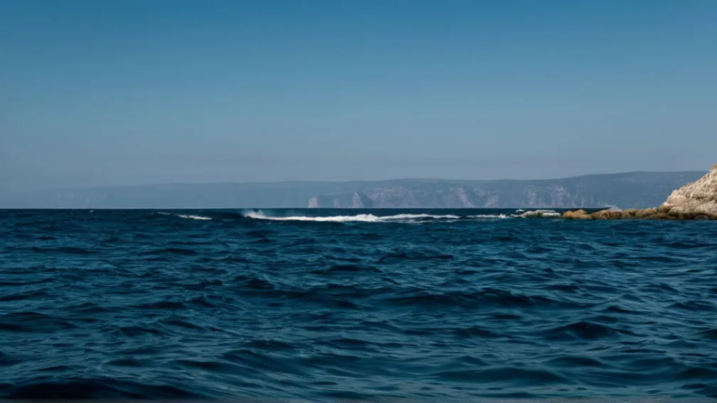 Природа Чорного моря