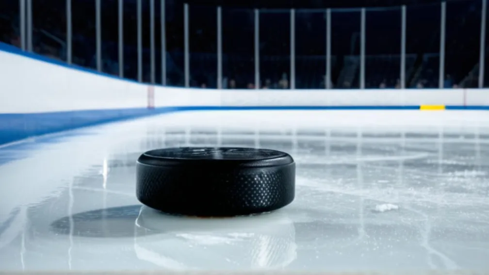 Хокейний матч: «Флорида Пантерз» проти «Ванкувер Кенакс»