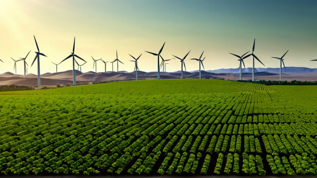 Підсумки кліматичних переговорів у Бразилії: між надіями та розчаруваннями у боротьбі зі зміною клімату