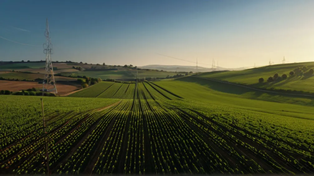 Техас отримав значно менше федеральних коштів на розширення сільського інтернету: глибоке розчарування