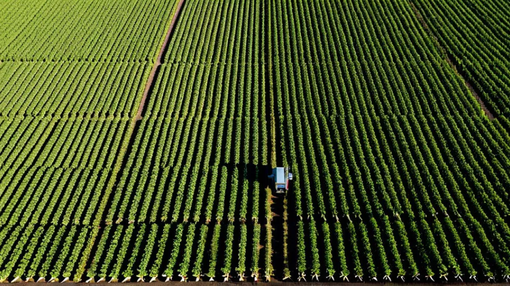 Застосування технологій штучного інтелекту в сільському господарстві