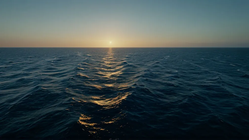 Заяви Трампа про "врятовані життя" від наркотиків: експерти спростовують