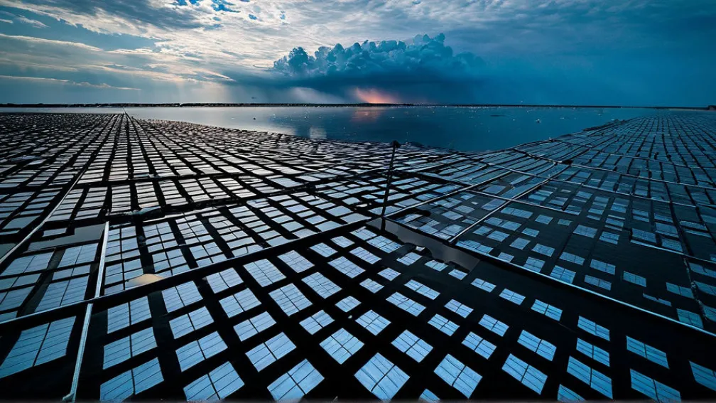 Зміна клімату: глобальні наслідки та шляхи вирішення