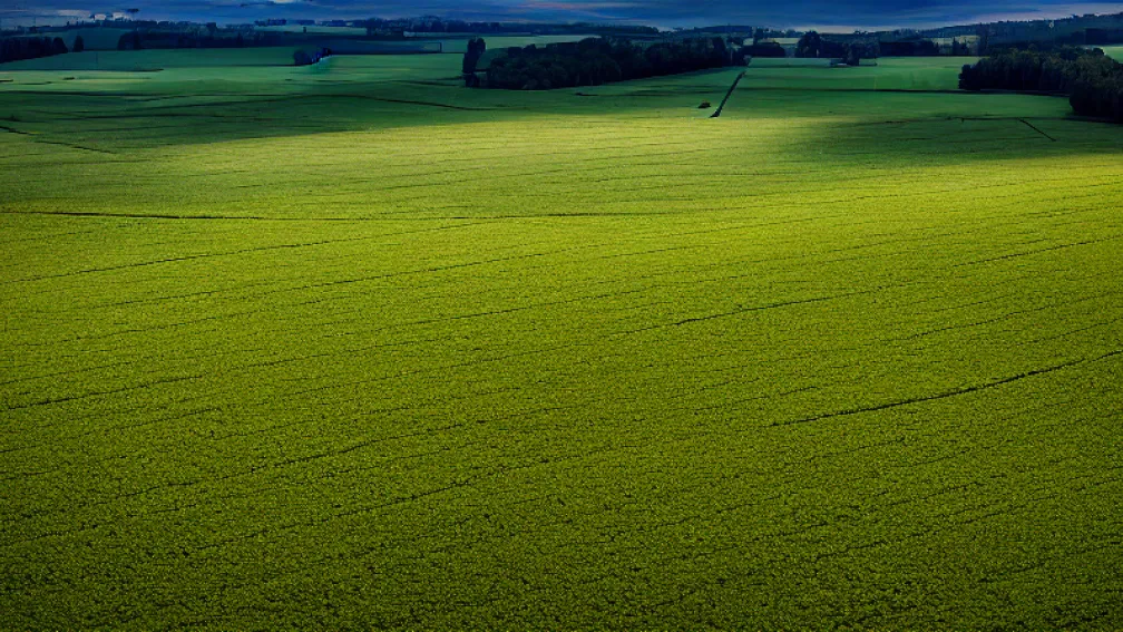 Токсичні добрива: скандал із Synagro в Техасі