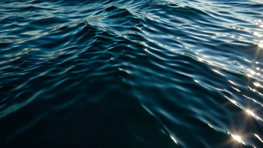 Неймовірний «китовий серфінг»: як риби-прилипали долають океан