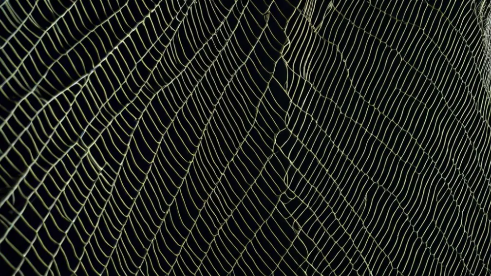 Криза Продовольчої Допомоги SNAP: Мільйони Американців Чекають на Виплати Через Блокування Уряду