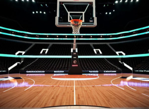 Баскетбольна зустріч: Іллінойс Файтинг Ілліні проти Лонг-Айленд Шаркс