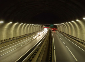 У Бостоні врятували собаку з жвавого тунелю під час години пік