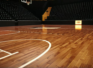 Баскетбольна битва: SIU-Edwardsville Cougars проти Eastern Kentucky Colonels