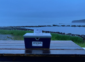 Грем Платнер: Кандидат у Сенат США, що Кидає Виклик Політичним Нормам