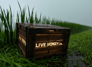 Втеча лабораторних мавп у Міссісіпі: Що приховує індустрія біомедичних досліджень