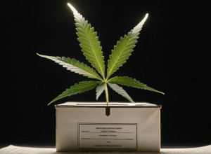 Мешканці Мічигану Голосують за Обмеження Продажу Канабісу