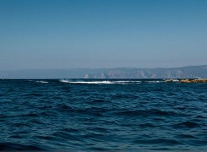 Природа Чорного моря