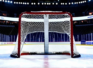 «Міннесота Вайлд» перемагає «Анахайм Дакс» завдяки другому шатауту поспіль від Єспера Валльстедта