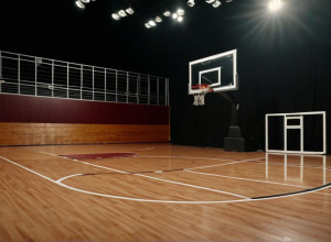 Баскетбольний поєдинок: Samford Bulldogs зійдуться з Texas Southern Tigers