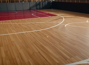 Баскетбольне протистояння: NC State проти UNC Greensboro у товариському матчі