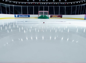 НХЛ: Колорадо Евеланш проти Анагайм Дакс – Передматчевий огляд хокейного поєдинку