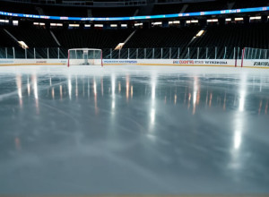 Протистояння Західної конференції: "Сент-Луїс Блюз" зустрінеться з "Калгарі Флеймз"