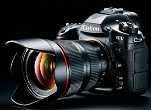 Тестова стаття українською