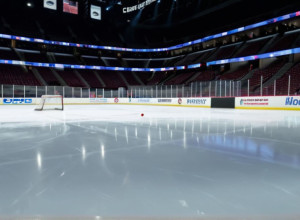 Хокейний поєдинок Західної конференції: «Чикаго Блекгокс» проти «Калгарі Флеймз»