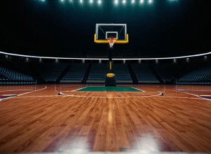 Villanova прийматиме Sacred Heart після 25 очок Ліндсі у попередній грі