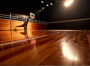 Баскетбольний поєдинок: Stetson Hatters проти Western Carolina Catamounts