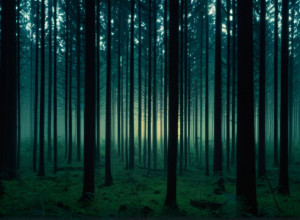 Жінка з Вісконсину, фігурантка справи "Слендермена", зникла безвісти