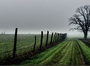 Чоловік із Мічигану постав перед судом у справі про вбивство трьох синів, зниклих 15 років тому