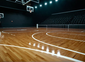 Домінантна перемога: Жіноча команда "Бейлор" розгромила "Ле Мойн" з рахунком 99-43