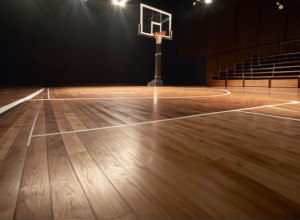 Illinois State розгромив Coastal Carolina у баскетбольному матчі