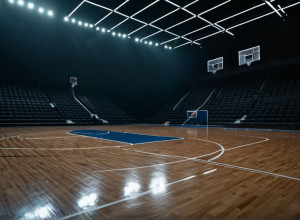 Сієна здобуває перемогу над Олбані (Нью-Йорк) 73-63 завдяки 19 очкам Гудріка