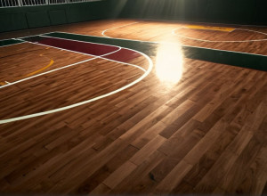 Баскетбол: «Бетюн-Кукман Уайлдкэтс» зустрічаються з «Джексонвілл Долфінс»