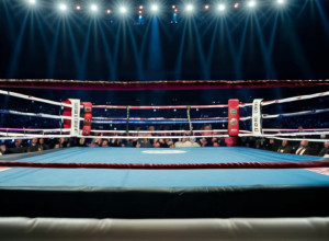 Джейк Пол проти Ентоні Джошуа: Боксерський поєдинок чемпіонів на Netflix