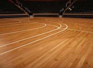 "Міннесота Тімбервулвз" і "Сакраменто Кінгз" зустрінуться у Кубку НБА