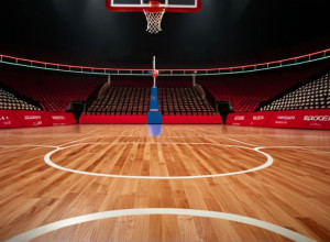 Іллінойс приймає ЛІУ: Анонс баскетбольного матчу серед студентів