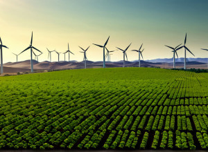 Підсумки кліматичних переговорів у Бразилії: між надіями та розчаруваннями у боротьбі зі зміною клімату