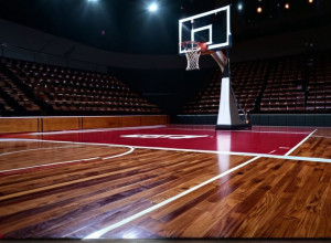 Баскетбол: South Carolina Gamecocks проти Northwestern Wildcats – Аналіз Матчу