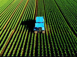 Застосування штучного інтелекту в сільському господарстві