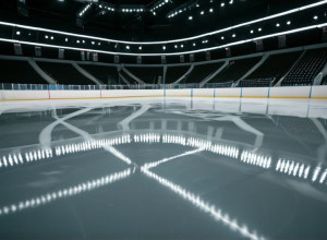 "Мейпл Ліфс" перервали серію поразок, здобувши перемогу над "Блюз" в овертаймі