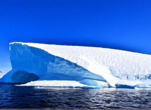 Договір про Антарктику