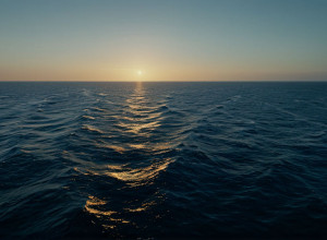 Заяви Трампа про "врятовані життя" від наркотиків: експерти спростовують