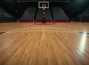 Ханна Ідальго привела "Нотр-Дам" до впевненої перемоги над "Централ Мічиган"