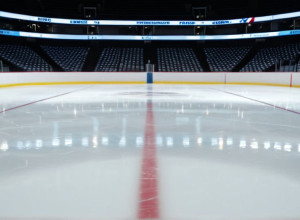 «Хижаки» проти «Червоних Крилець»: Анонс матчу НХЛ