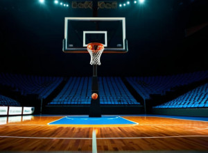 Баскетбол у Канкуні: Вулверінс проти Джекгреббітс