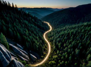 Масштабні пошуки бабусі та трьох онуків, що загубилися в заповіднику Південної Кароліни