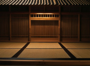 Український сумоїст Аонішикі наближається до вершини національного спорту Японії