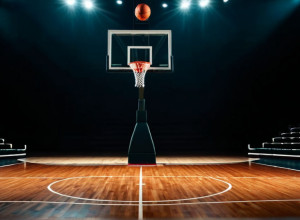 Баскетбольна битва: Idaho Vandals проти CSU Northridge Matadors